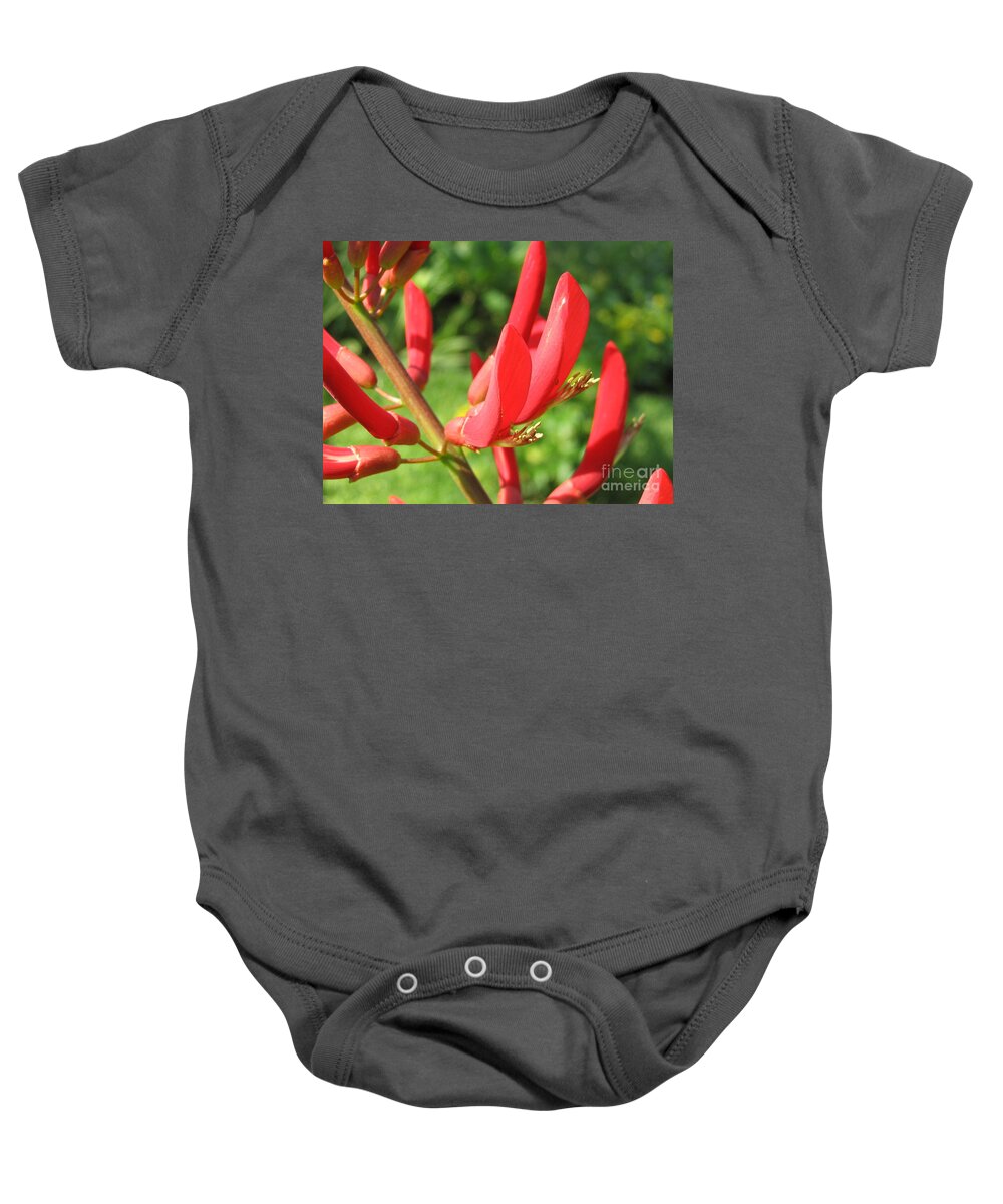 Tree Baby Onesie featuring the painting Coral Bean tree by Mark Robbins