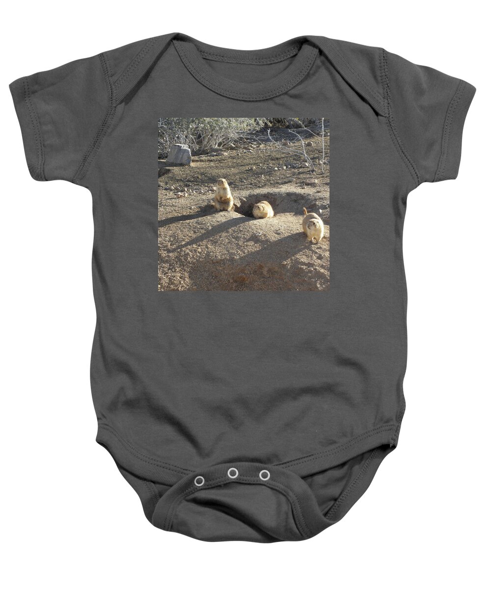 Gopher Baby Onesie featuring the photograph Curious Gophers by Kim Galluzzo