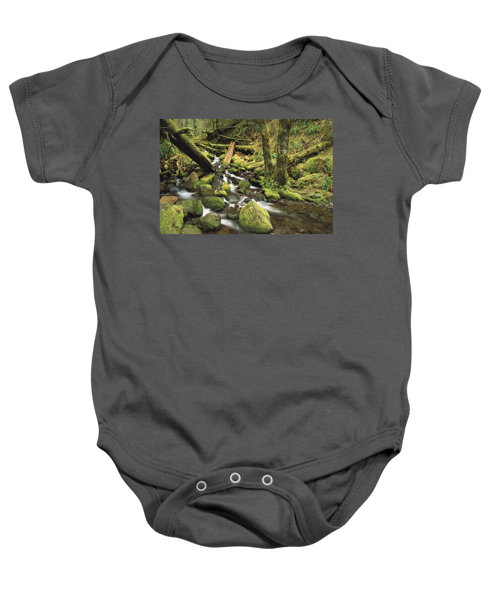 Mp Baby Onesie featuring the photograph Downed Logs In Sorensen Creek by Gerry Ellis