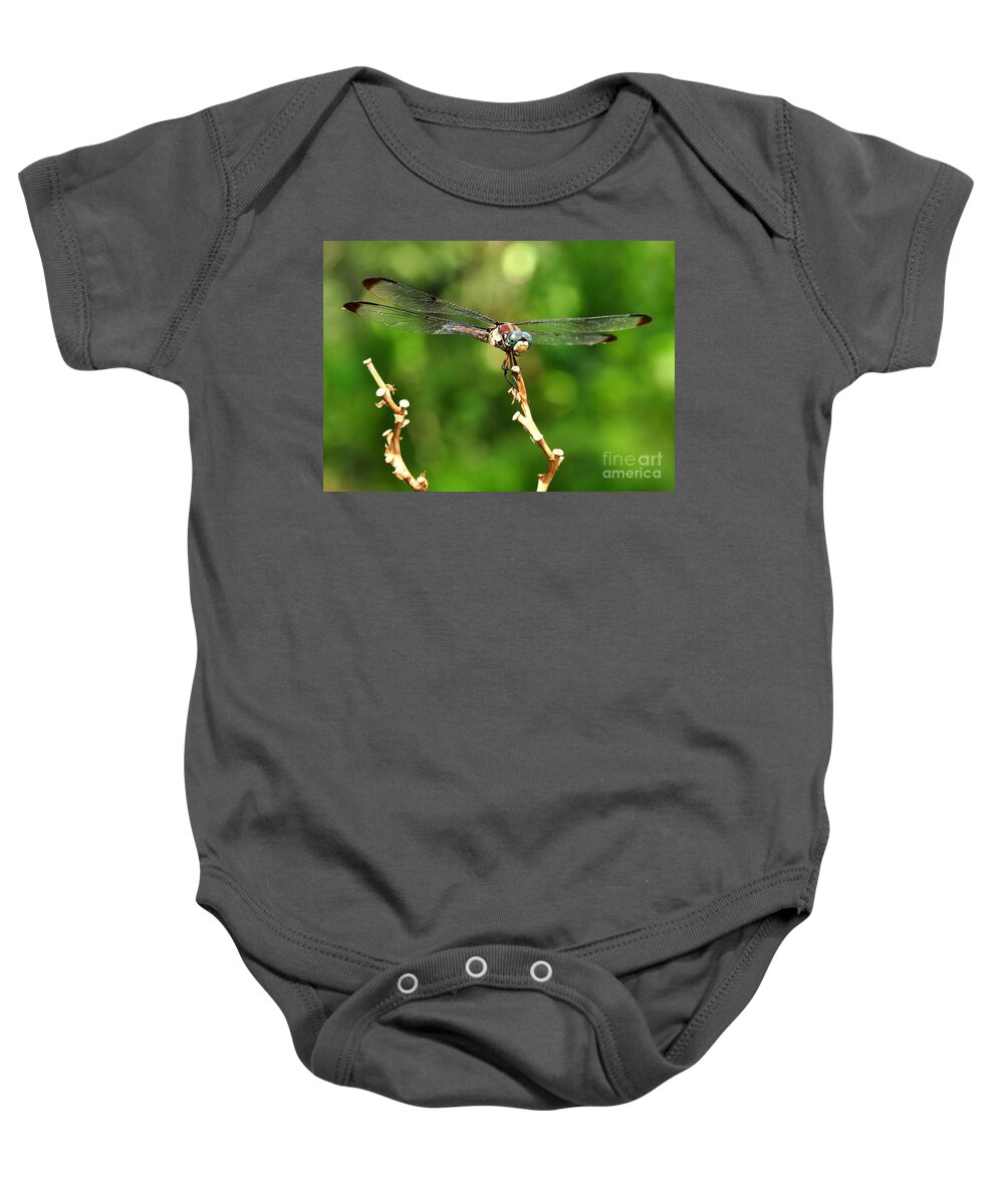 Dragon Fly Baby Onesie featuring the photograph Dragon Fly by Susan Cliett