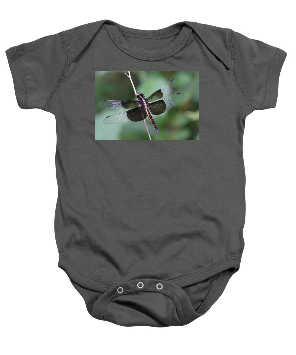 Insect Baby Onesie featuring the photograph Dragonfly by Daniel Reed