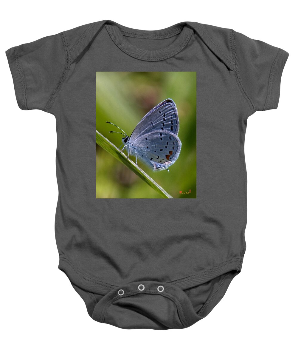 Spring Baby Onesie featuring the photograph Eastern Tailed-Blue Butterfly DIN045 by Gerry Gantt