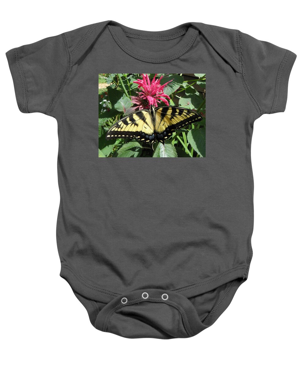 Butterfly Baby Onesie featuring the photograph Eastern Yellowtail Butterfly by Kim Galluzzo