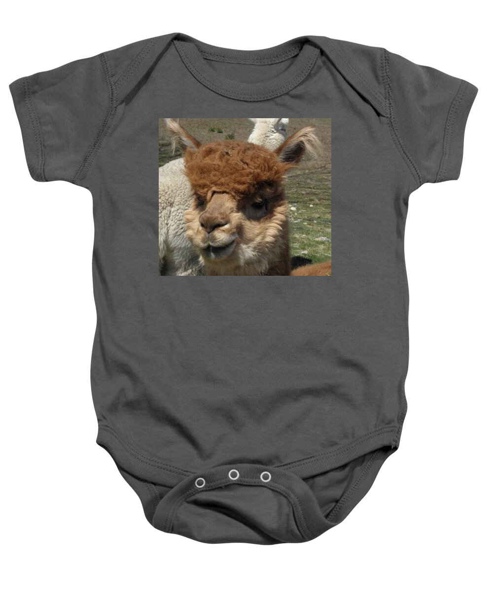 Alpaca Baby Onesie featuring the photograph Ewok by Kim Galluzzo