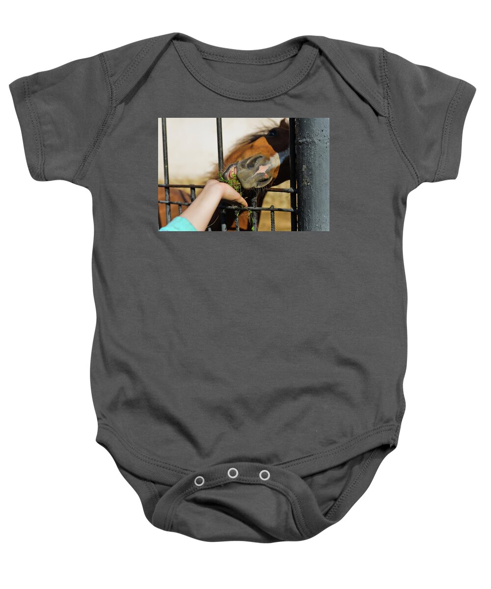 Horse Baby Onesie featuring the photograph Feeding the horses in the zoo by Michael Goyberg
