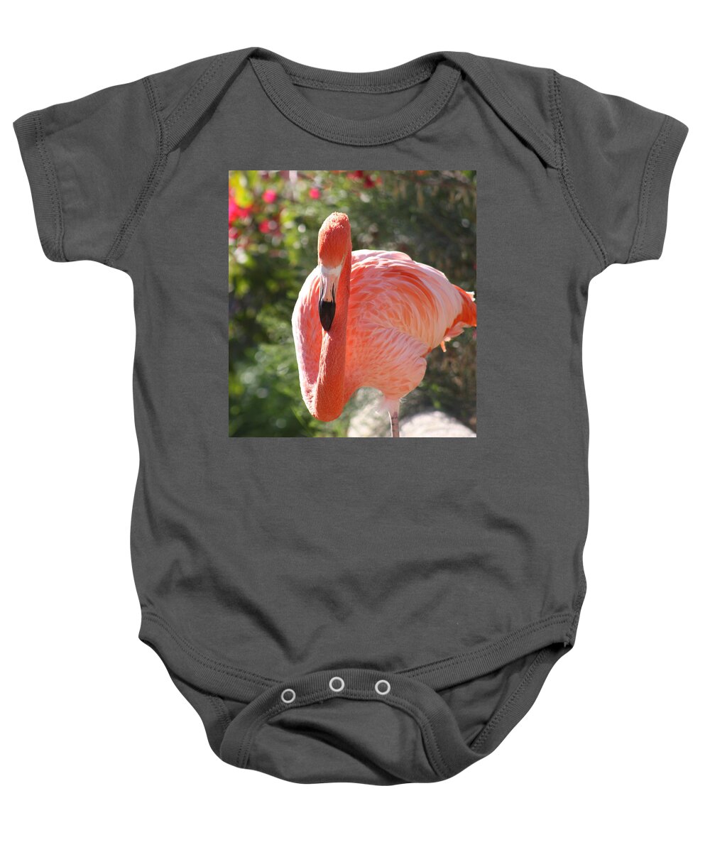 Flamingo Baby Onesie featuring the photograph Flamingo by Kim Galluzzo