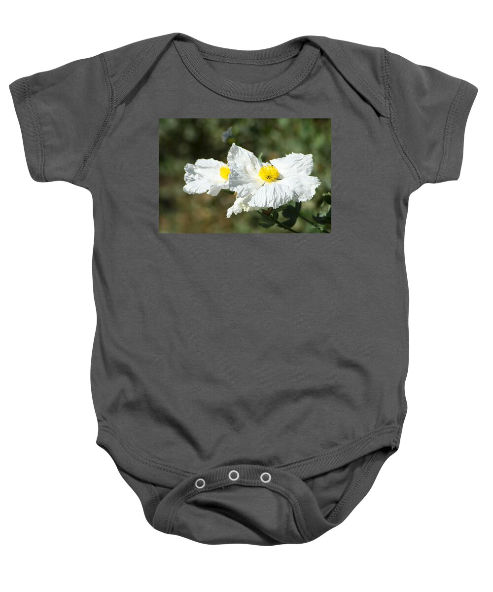 Wilflife Baby Onesie featuring the photograph Fried Egg Flowers by Diana Haronis