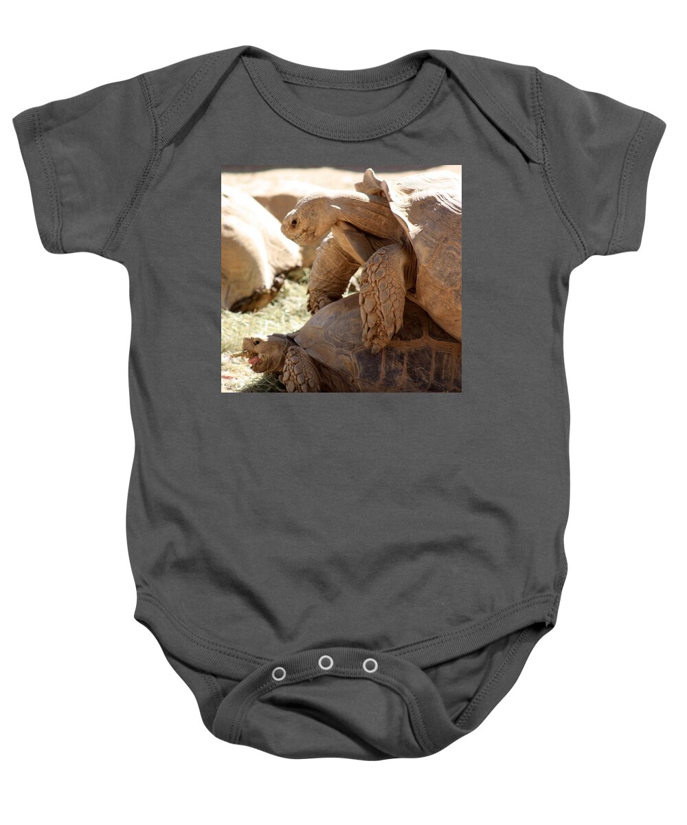 Tortoise Baby Onesie featuring the photograph Get a room by Kim Galluzzo