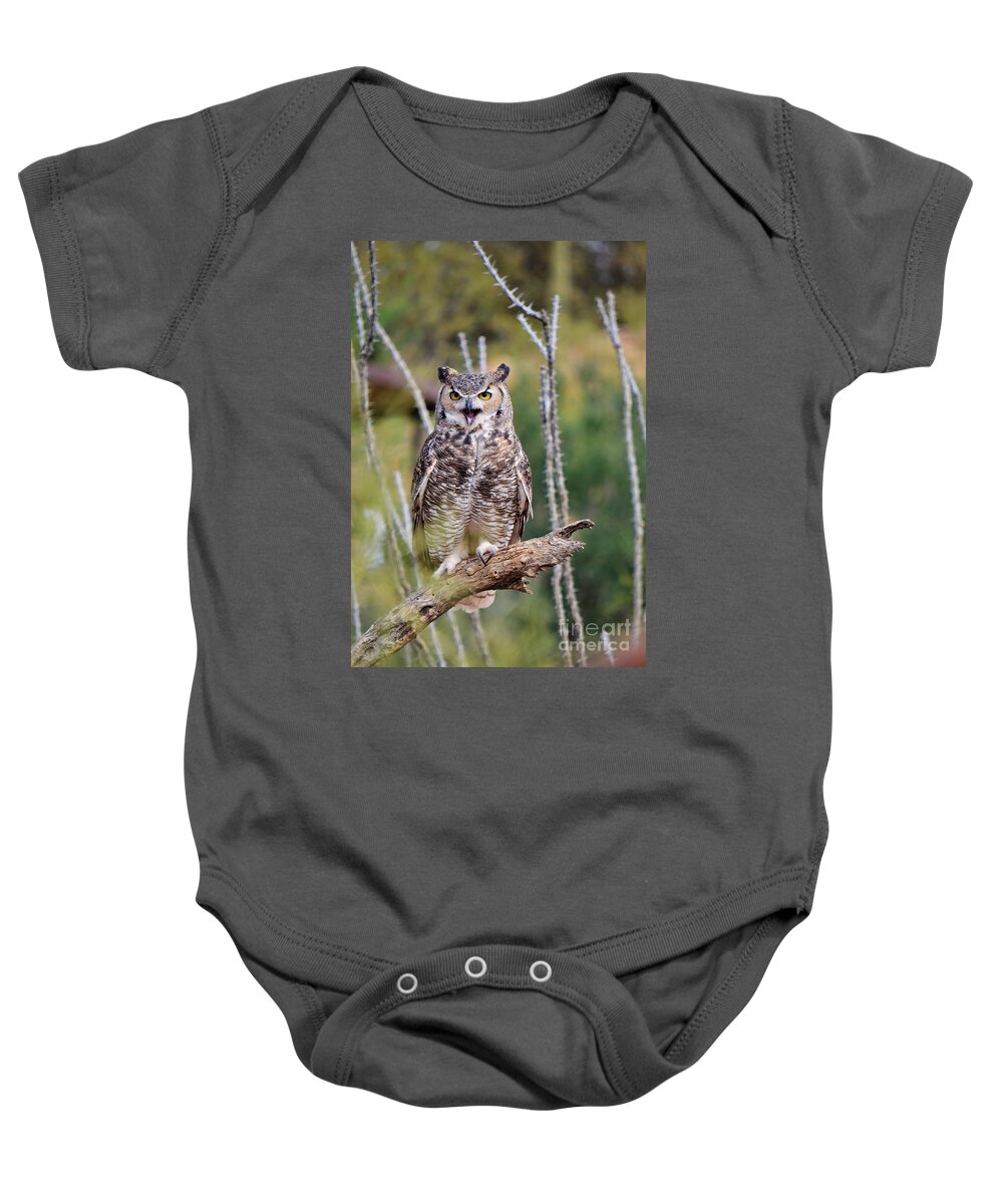 Owl Baby Onesie featuring the photograph Great Horned Owl by Donna Greene