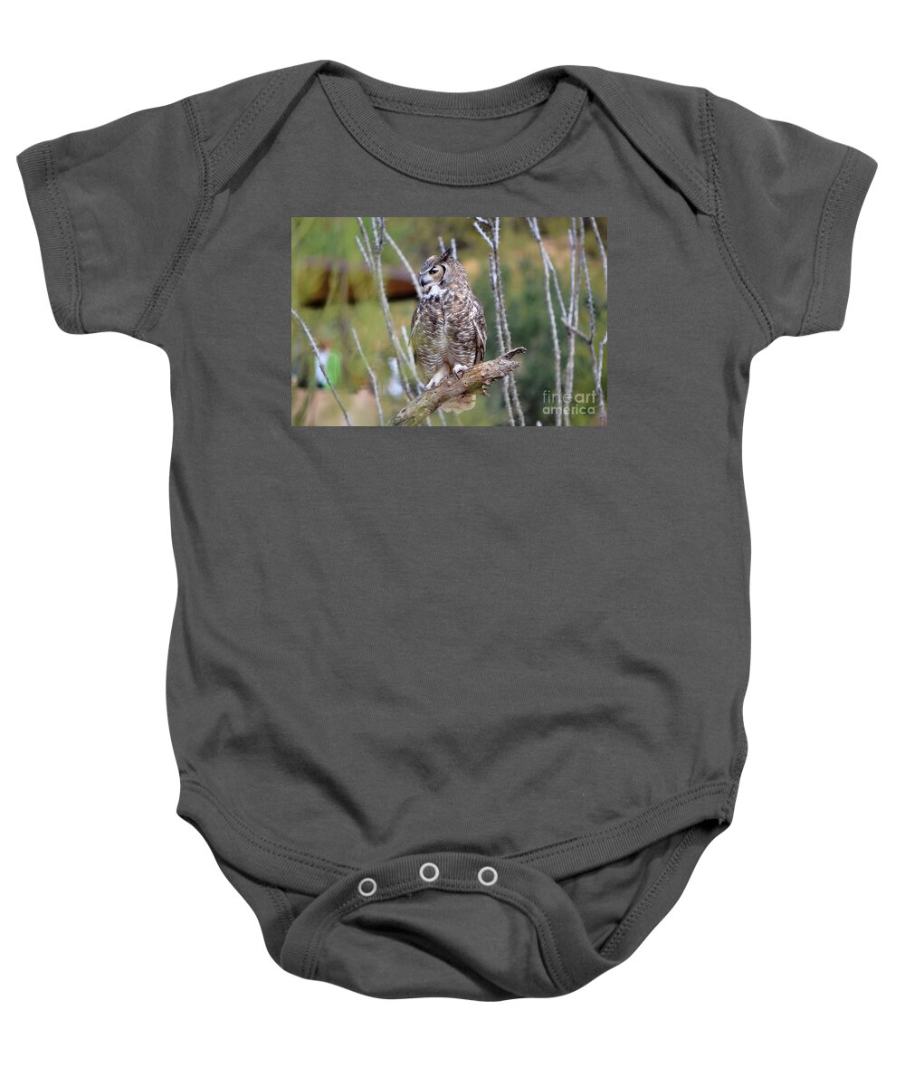 Owl Baby Onesie featuring the photograph Great Horned Owl III by Donna Greene