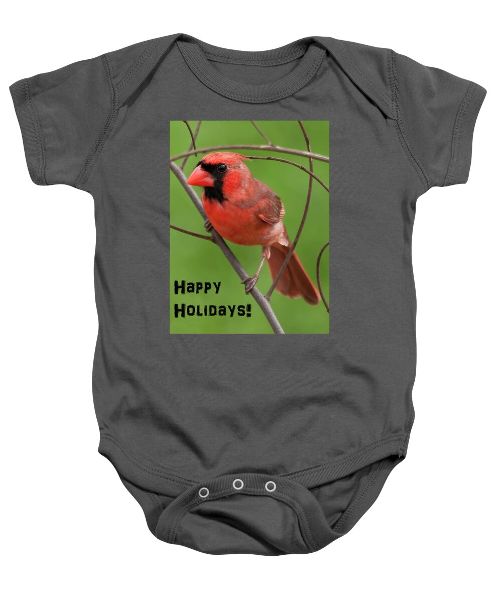 Hawaii Baby Onesie featuring the photograph Happy Holidays by Dan McManus