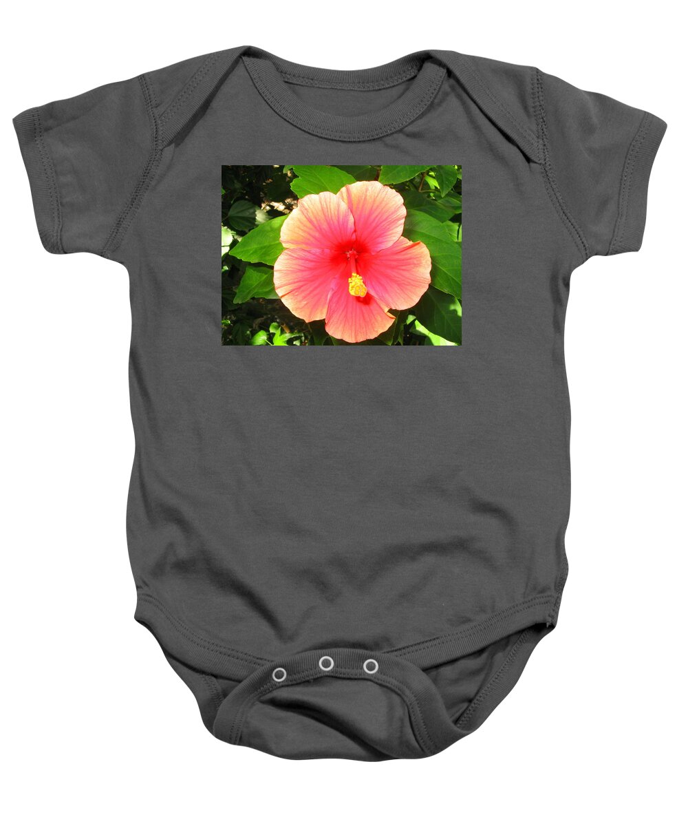Landscapes Baby Onesie featuring the photograph Hibiscus by Mira Patterson