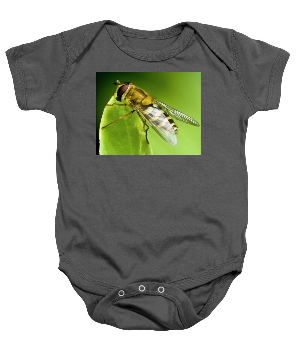 Hoverfly Baby Onesie featuring the photograph Hoverfly by Rob Hemphill