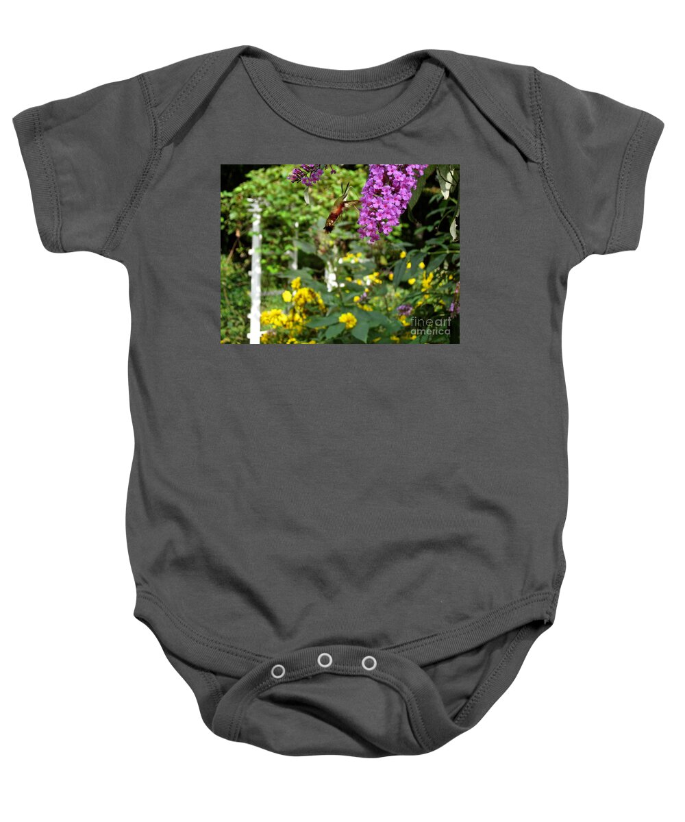 Hummingbird Moth Baby Onesie featuring the photograph Hummingbird Moth in Flight by Nancy Patterson