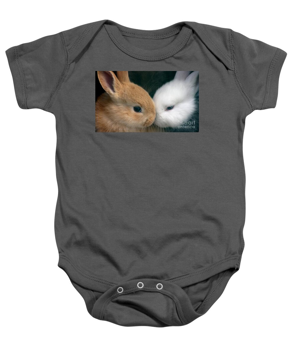Rabbits Baby Onesie featuring the photograph Kissing Cousin's by Living Color Photography Lorraine Lynch