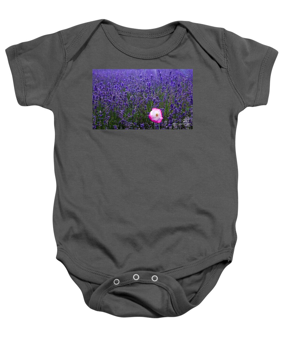  Abundance Baby Onesie featuring the photograph Lavender field with poppy by Simon Bratt