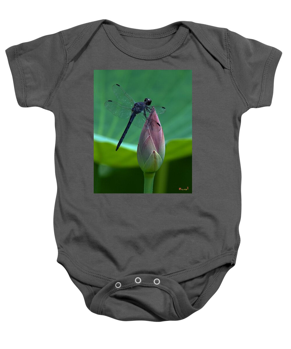 Nature Baby Onesie featuring the photograph Lotus Bud and Slatey Skimmer Dragonfly DL072 by Gerry Gantt