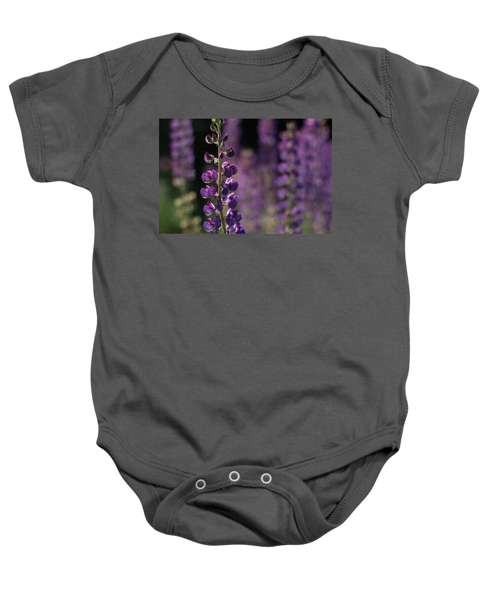 Canada Baby Onesie featuring the photograph Lupines by Jakub Sisak