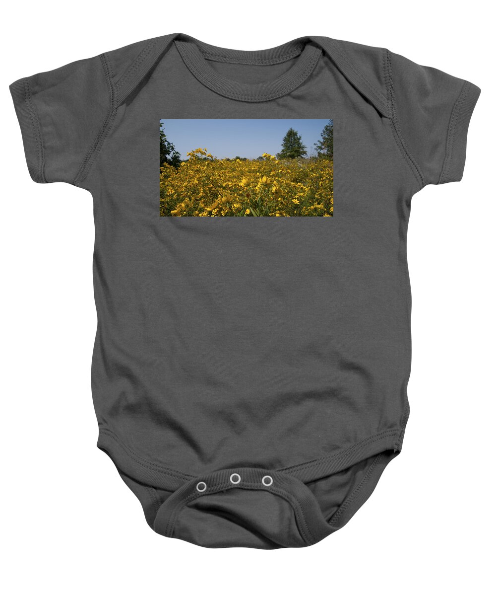 Landscape Baby Onesie featuring the photograph Meadow at Terapin Park by Charles Kraus