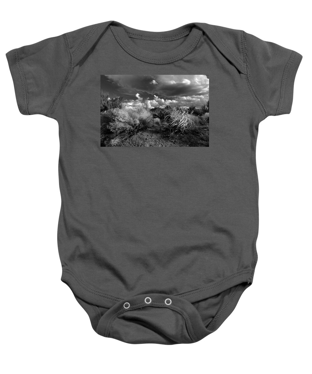 Landscape Baby Onesie featuring the photograph Mesa Dreams by Ron Cline