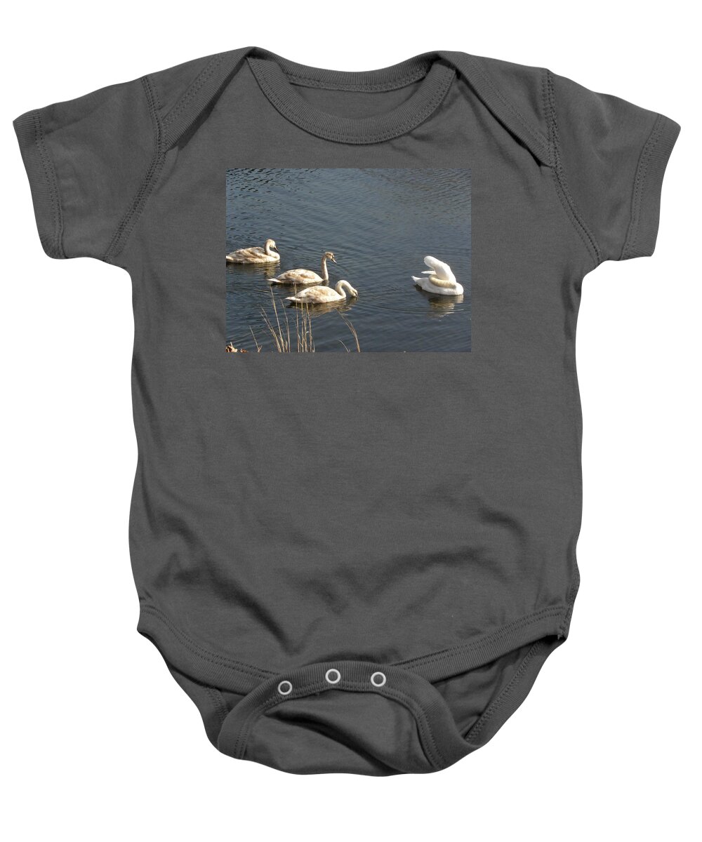 Swan Baby Onesie featuring the photograph Mom and Triplets by Kim Galluzzo