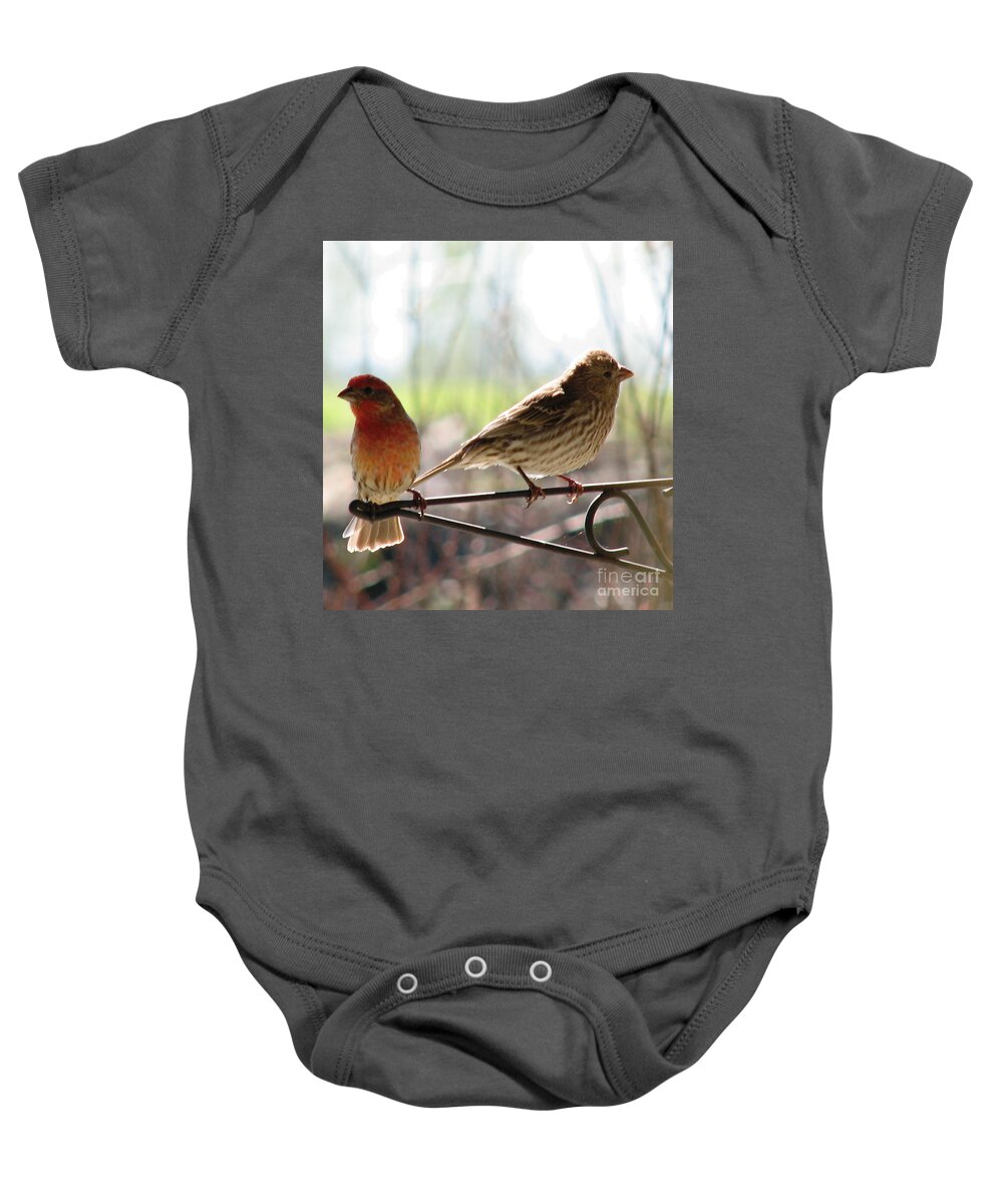 Birds Baby Onesie featuring the photograph Morning Visitors 2 by Rory Siegel