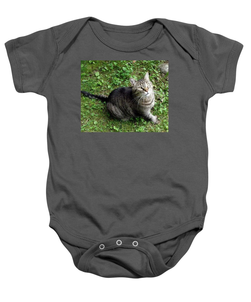 Male Baby Onesie featuring the photograph my Cisco by Kim Galluzzo