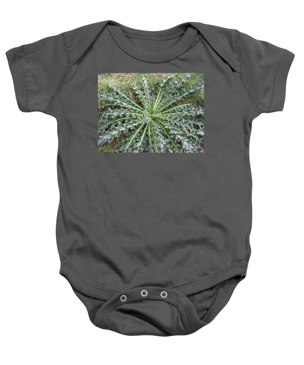 Thistle Baby Onesie featuring the photograph October thistle by Mark Robbins