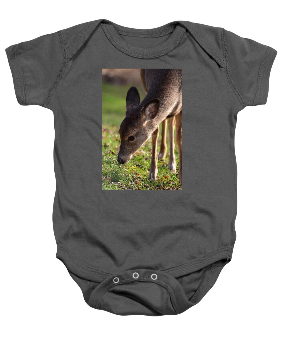 Fawn Baby Onesie featuring the photograph Oh So Sweet by Lori Tambakis