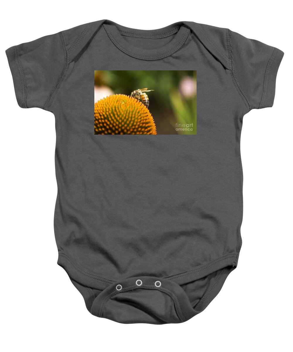 Bee Baby Onesie featuring the photograph On the Horizon by Heather Applegate