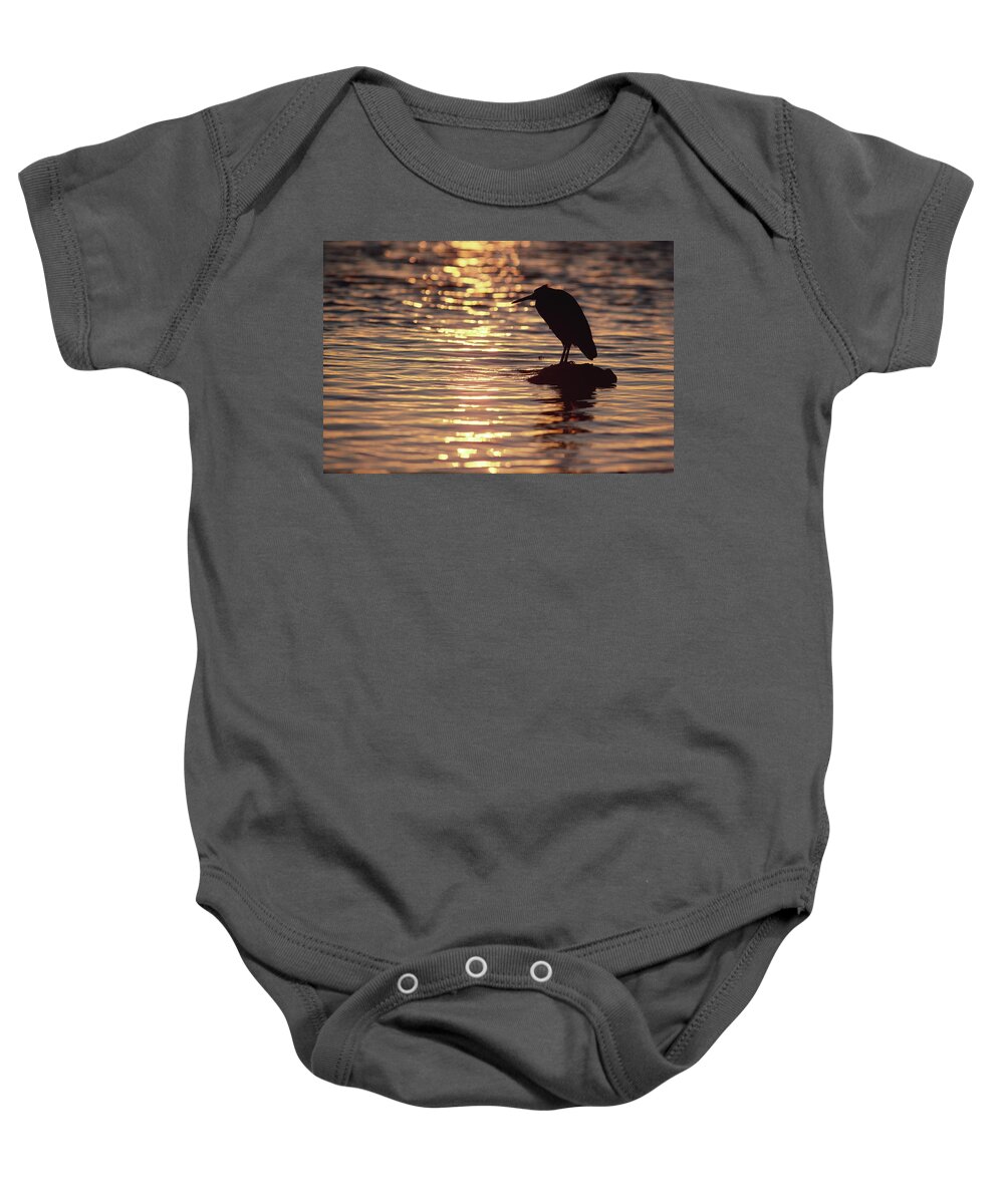 00202845 Baby Onesie featuring the photograph Pacific Reef Egret Sihouette by Gerry Ellis