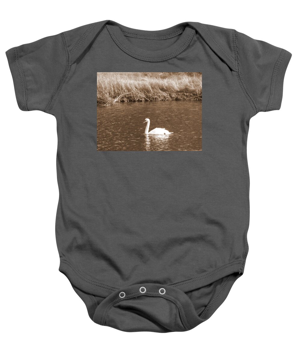 Swan Baby Onesie featuring the photograph Papa Swan by Kim Galluzzo