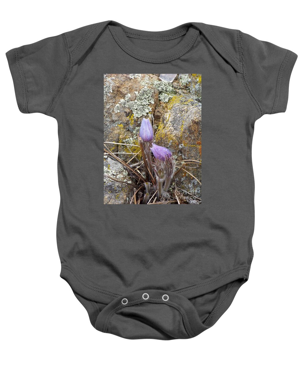 Pasque Flowers Baby Onesie featuring the photograph Pasque Flowers by Dorrene BrownButterfield
