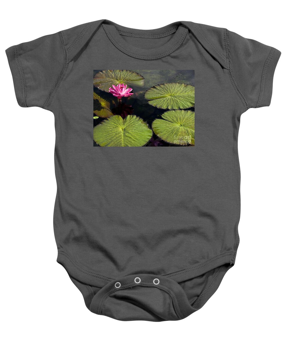 Water Llilies Baby Onesie featuring the photograph Pink Water Lily I by Heiko Koehrer-Wagner