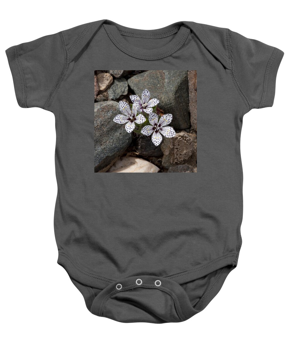 Spotted Baby Onesie featuring the photograph Polka Dots by Betty Depee