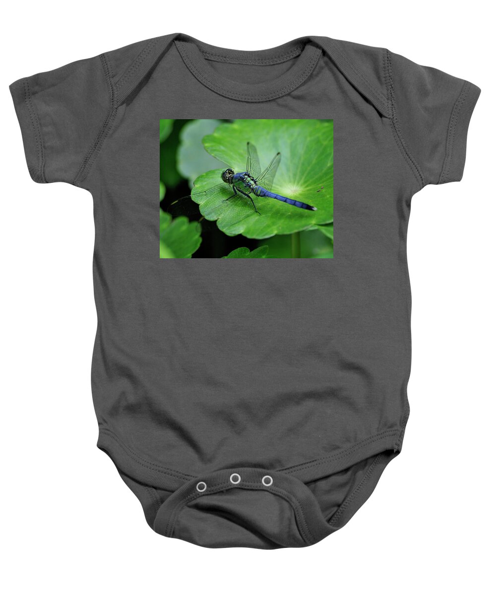 Eastern Baby Onesie featuring the photograph Pondhawk Dragonfly by Bill Dodsworth