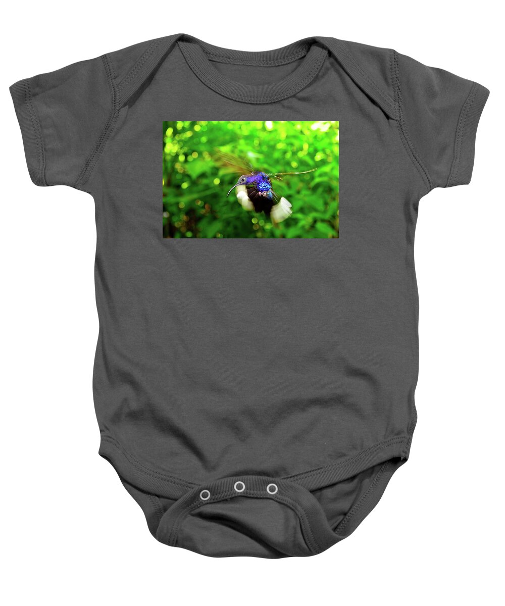 Hummingbird Photographs Baby Onesie featuring the photograph Purple and Blue Hummingbird by Harry Spitz