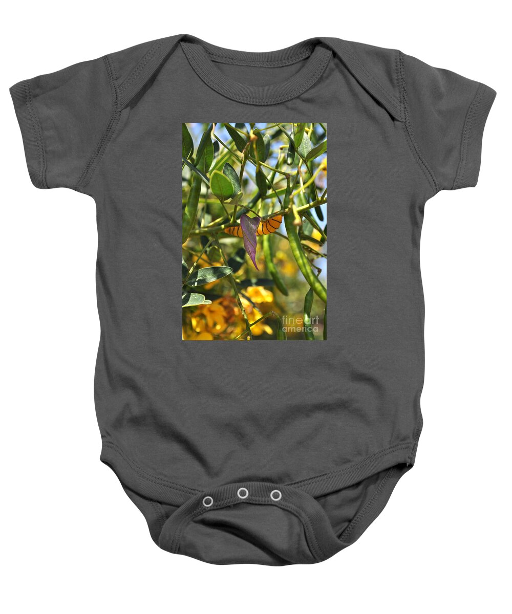 Chrysalis Baby Onesie featuring the photograph Purple Pink Green Chrysalis by Bridgette Gomes
