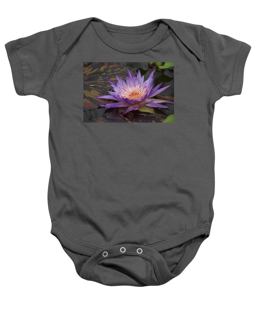 Purple Baby Onesie featuring the photograph Purple Water Lilly by Alan Hutchins
