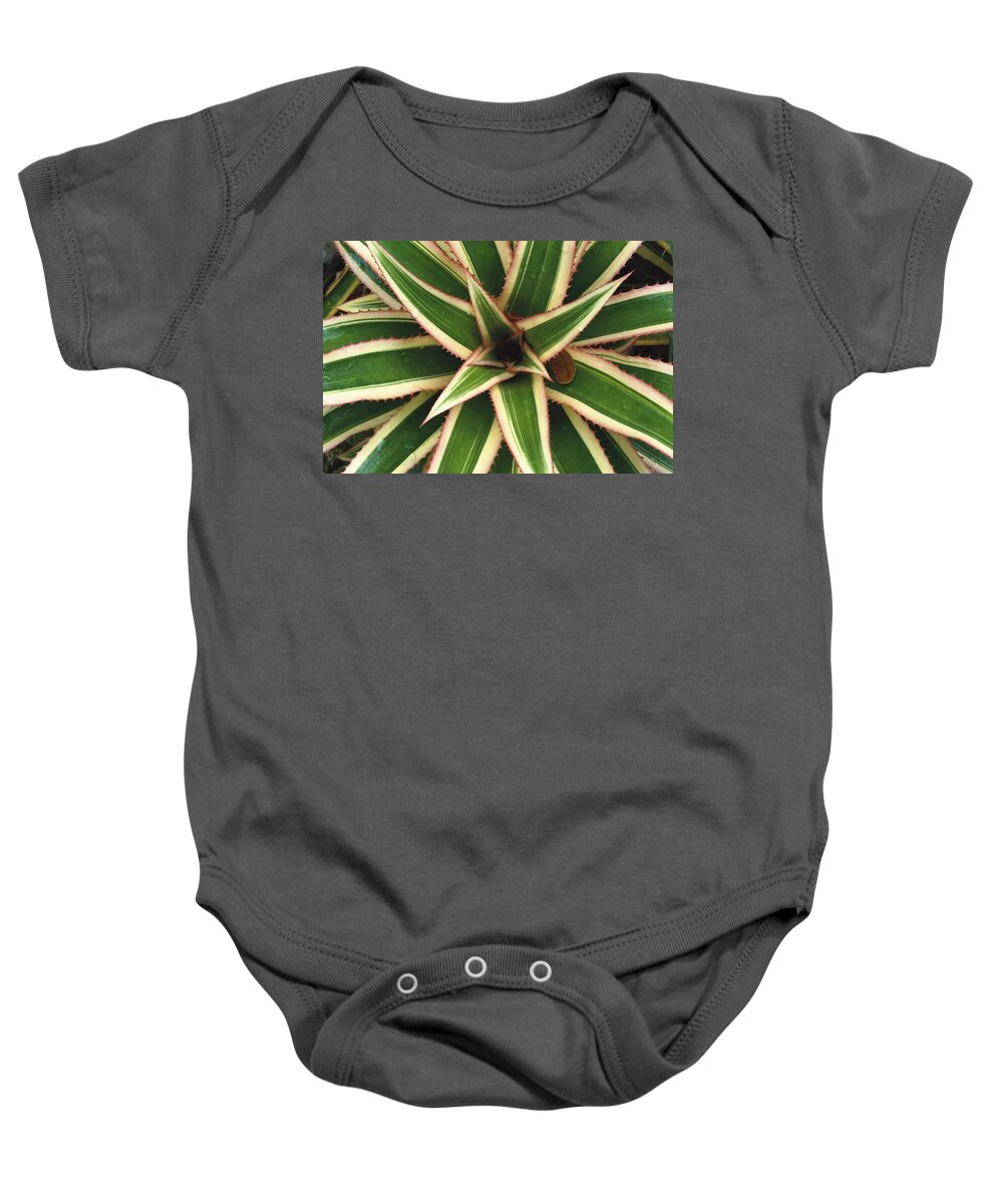 Mp Baby Onesie featuring the photograph Red Pineapple Bromeliad Ananas Comosus by Gerry Ellis