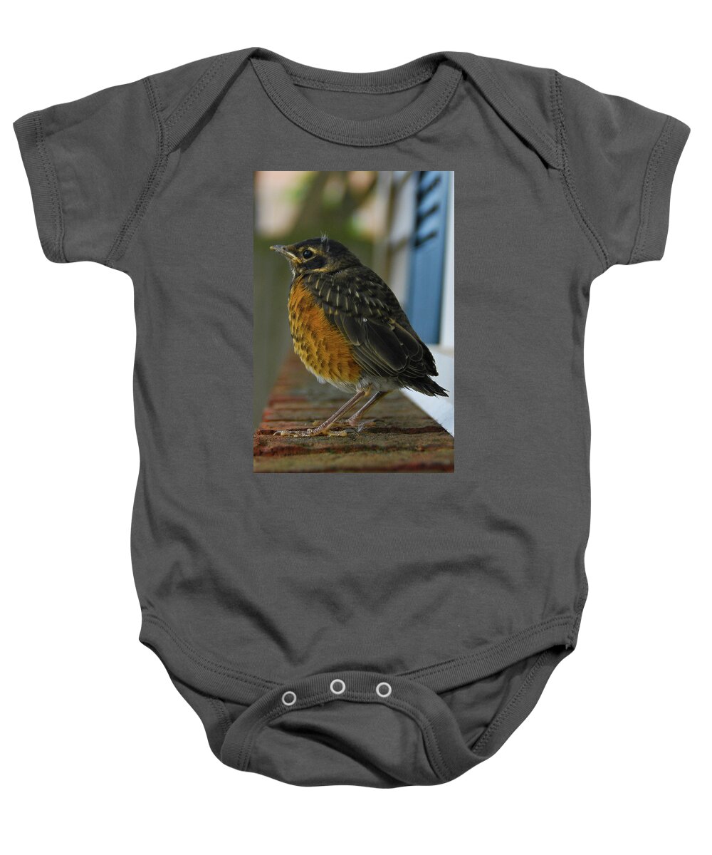 Birds Baby Onesie featuring the photograph Ruffian by Guy Whiteley
