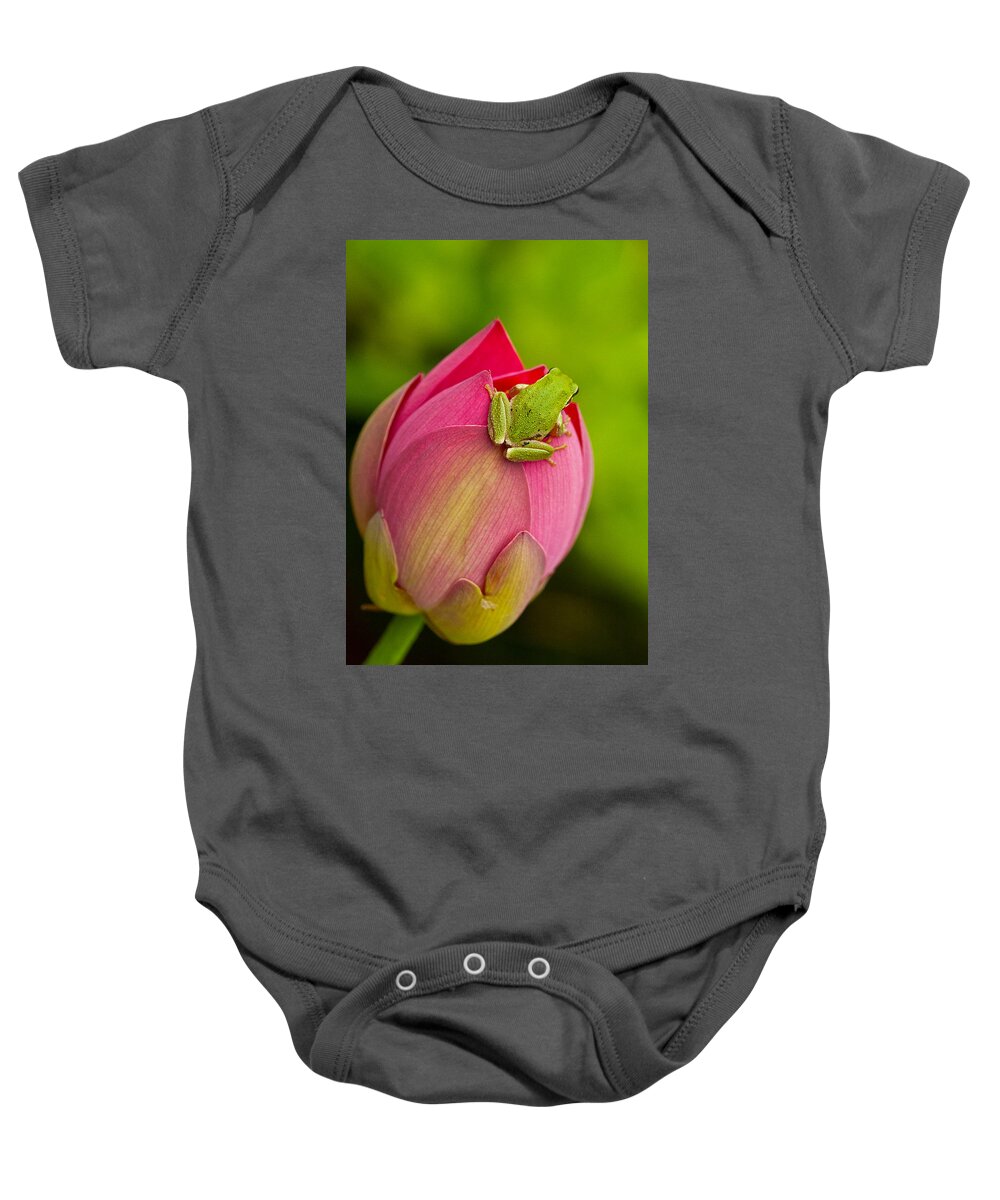 Amphibians Baby Onesie featuring the photograph Serene by Jean Noren