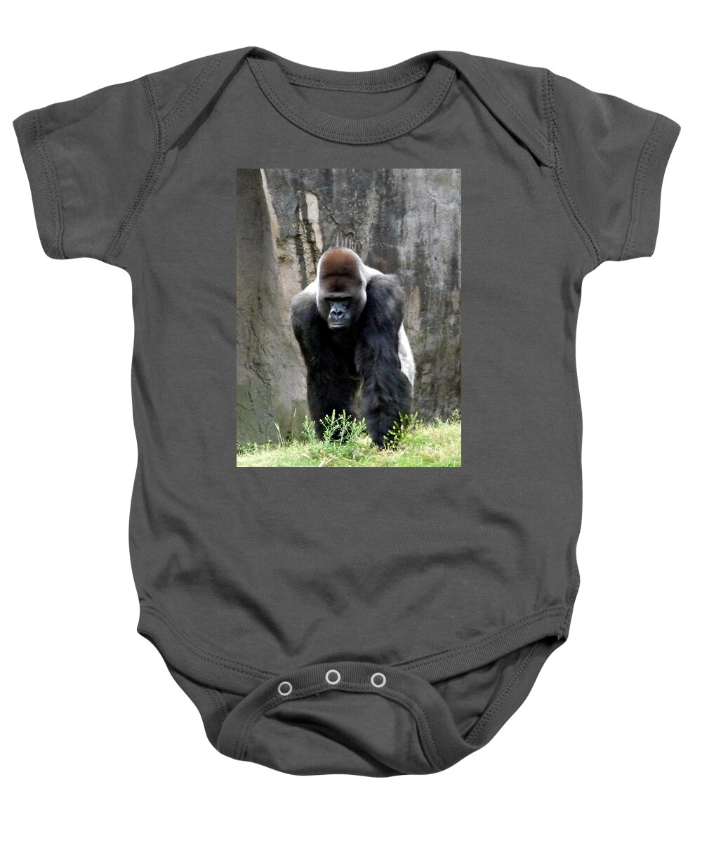 Gorilla Baby Onesie featuring the photograph Silverback by Jo Sheehan