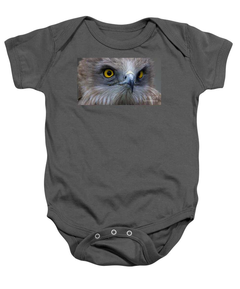 Heiko Baby Onesie featuring the photograph Snake Eagle 2 by Heiko Koehrer-Wagner