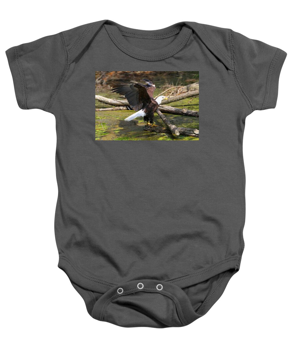 Eagle Baby Onesie featuring the photograph Soaring Eagle by Elizabeth Winter