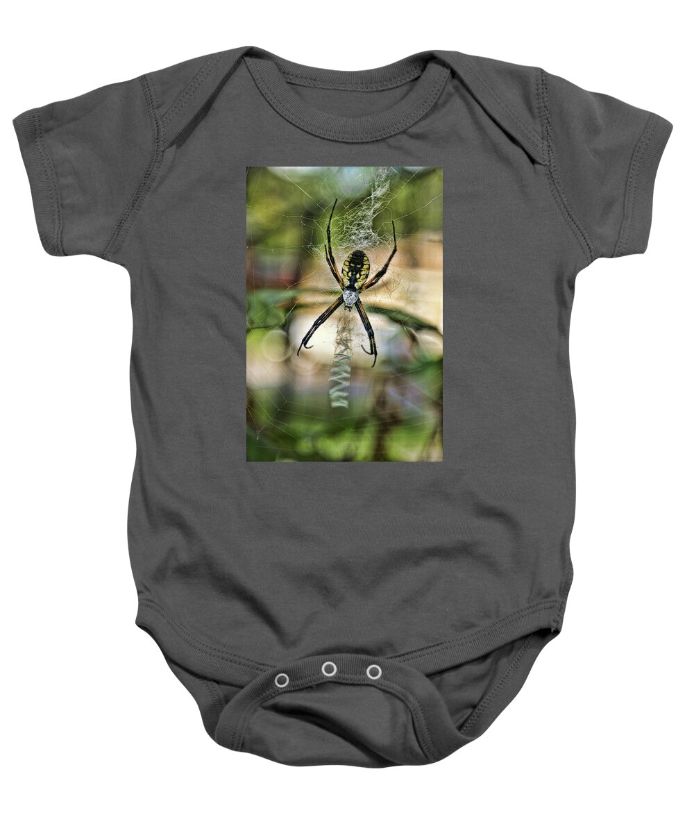 Spider Baby Onesie featuring the photograph Spider by Alan Hutchins