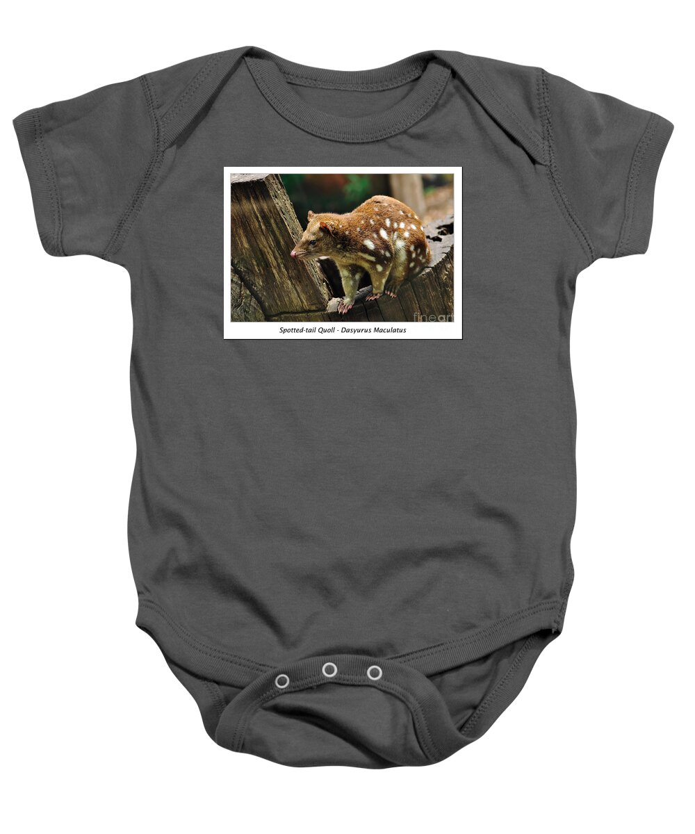 Photography Baby Onesie featuring the photograph Spotted-tail Quoll 2 by Kaye Menner