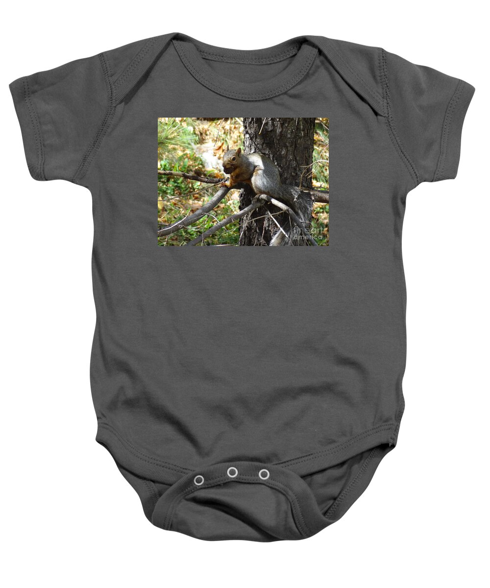 Squirrel Baby Onesie featuring the photograph Squirrling Away by Laurel Best