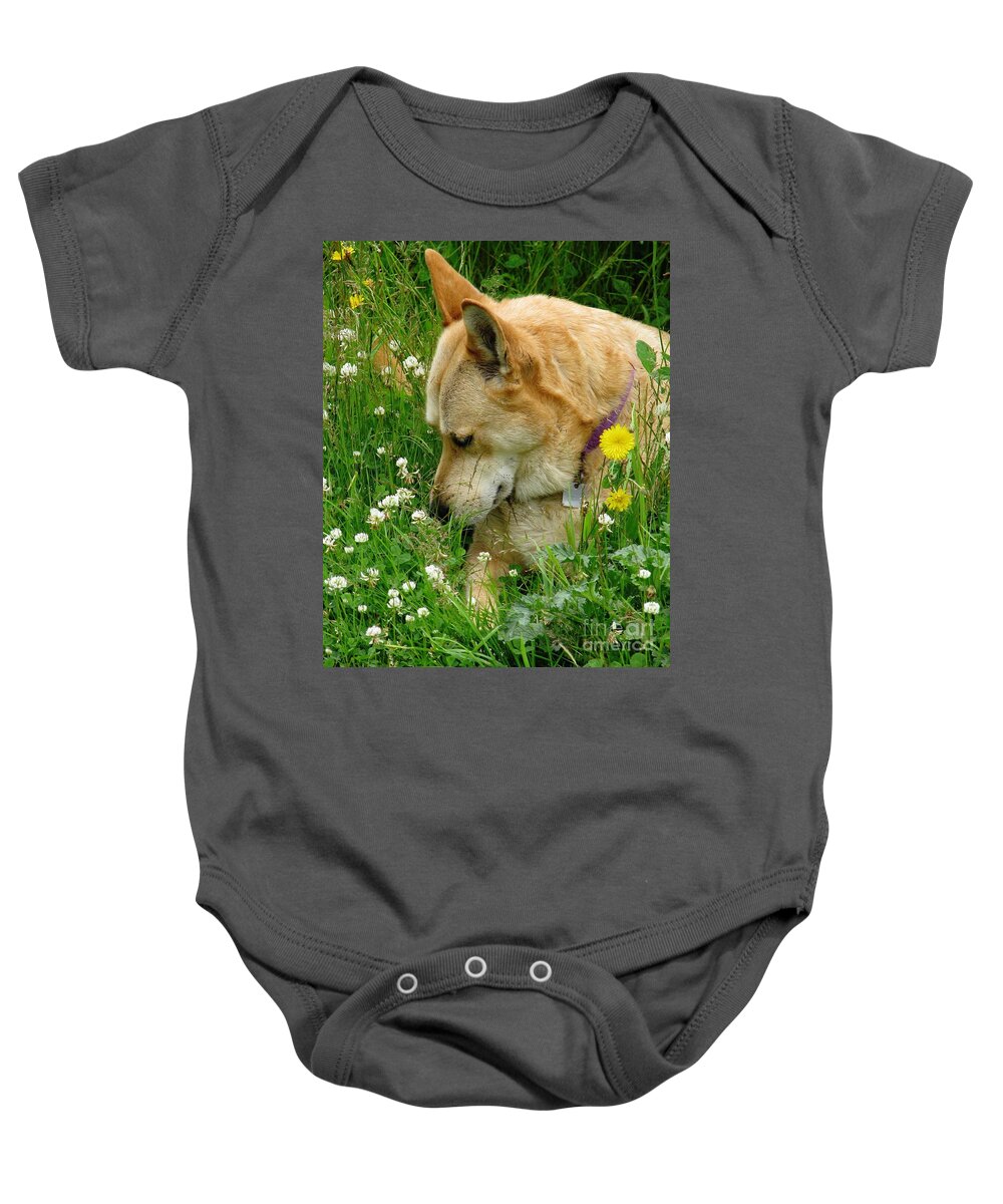 Dog Baby Onesie featuring the photograph Stop And Smell The Clover by Rory Siegel