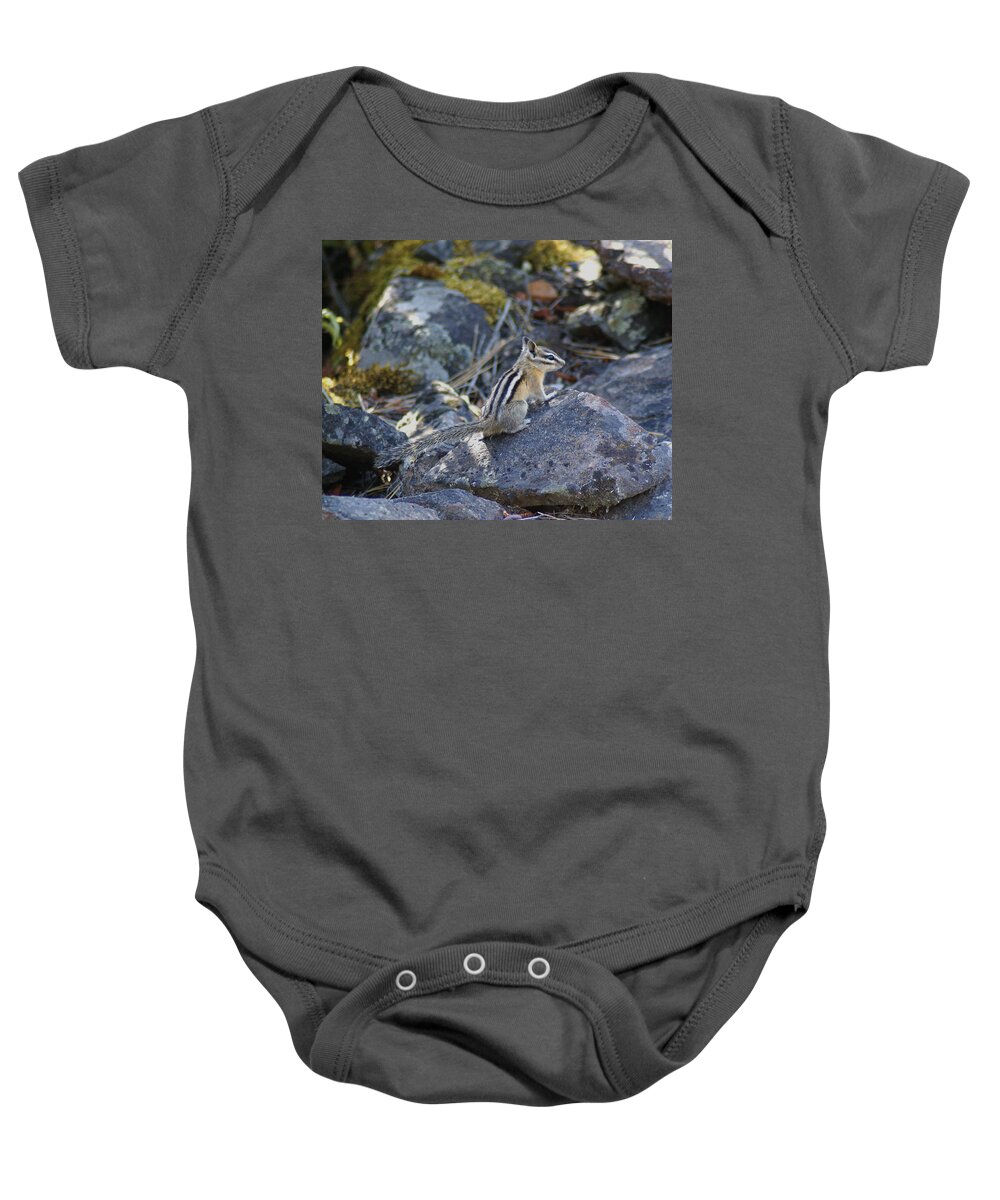 Chipmunks Baby Onesie featuring the photograph Straight Tailed Chipmunk on a Rock by Ben Upham III